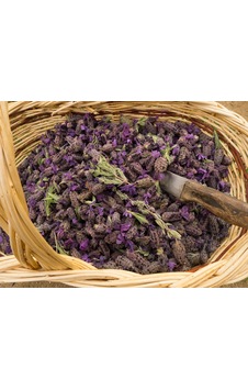 Karabaş Otu 250 G.