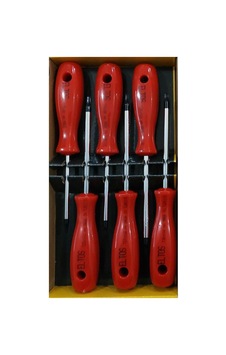 Torx Tornida Seti 6 Parça Torx Tornida Seti 6 Parça