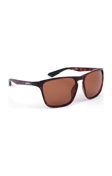 Shimano Eyewear Ultegra Tortoiseshell & Copper Gözlük Siyah Shimano Eyewear Ultegra Tortoiseshell & Copper Gözlük Siyah
