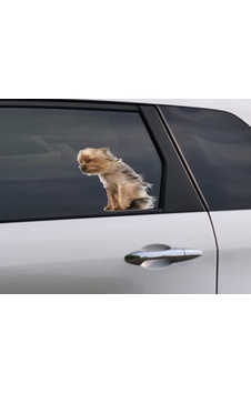 Terrier Rüzgara Karşı Komik Köpek Sticker 1 Adet 20cm