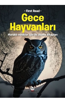 Gece Hayvanları - Meraklı Minikler İçin İlk Okuma Kitapları- Panda