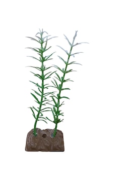 Akvaryum Yapay Bitki Süsü Kedi Tırnağı Yeşil Beyaz 14 Cm Akvaryum Yapay Bitki Süsü Kedi Tırnağı Yeşil Beyaz 14 Cm