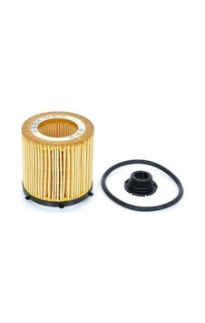 BOSCH F026407178 Yag Filtresi ( BMW N20 / F10-F30 ) 11427634291 (WF948578) BOSCH F026407178 Yag Filtresi ( BMW N20 / F10-F30 ) 11427634291 (WF948578)