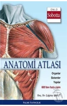 Anatomi Atlası Ünlü Sobotta Çizimleri Palme Anatomi Atlası Ünlü Sobotta Çizimleri Palme