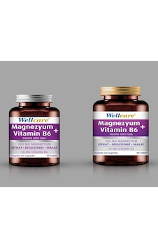 Wellcare Magnezyum B6 60 Tablet + 30 Tablet Wellcare Magnezyum B6 60 Tablet + 30 Tablet