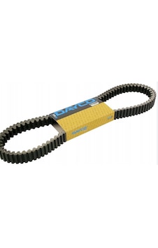 Suzuki An Burgman 400 Kayış 1999 - 2002 Dayco Kevlar İtaly '- Suzuki An Burgman 400 Kayış 1999 - 2002 Dayco Kevlar İtaly '-