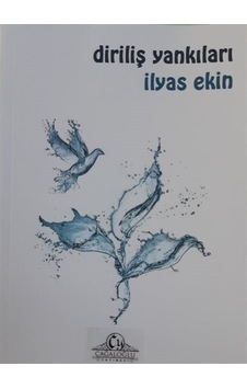 Diriliş Yankıları / İlyas Ekin Diriliş Yankıları / İlyas Ekin