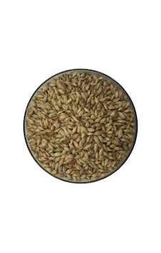 Hitit Malt Viyana Arpa Maltı 1 KG Hitit Malt Viyana Arpa Maltı 1 KG