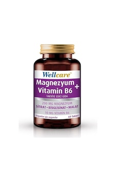 Wellcare Magnezyum Vitamin B6 60 Tablet