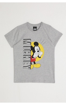 Mickey Mouse D4798-2 Çocuk Gri Melanj Tişört Mickey Mouse D4798-2 Çocuk Gri Melanj Tişört