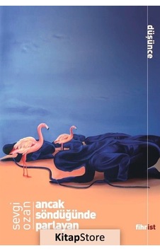 Ancak Söndüğünde Parlayan - Sevgi Ozan - Fihrist Ancak Söndüğünde Parlayan - Sevgi Ozan - Fihrist