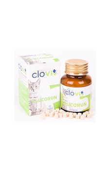 Clovit Cat Glucorun Glukozamin kalça, eklem, iskelet destekleyic