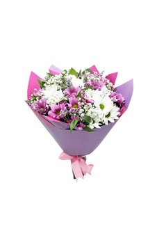 Papatya - Pembe Beyaz Mary - 599282772 Papatya - Pembe Beyaz Mary - 599282772