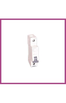 Gees Global B16 1 Kutuplu N-otomat 1 Adet Gbzs Çok Renkli Gees Global B16 1 Kutuplu N-otomat 1 Adet Gbzs Çok Renkli