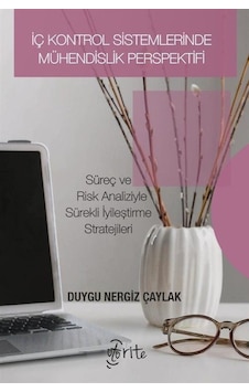İç Kontrol Sistemlerinde Mühendislik Perspektifi / Duygu Nergi...