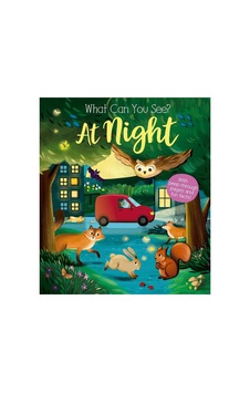 What Can You See At Night New Edition What Can You See At Night New Edition