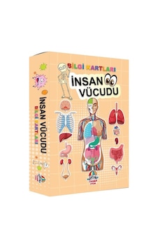 İnsan Vücudu - Bilgi Kartları- Yağmur Çocuk İnsan Vücudu - Bilgi Kartları- Yağmur Çocuk