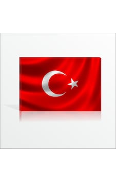 Dershane Devlet Dairesi Kurumlar için Türk Bayrağı Kanvas Tablo