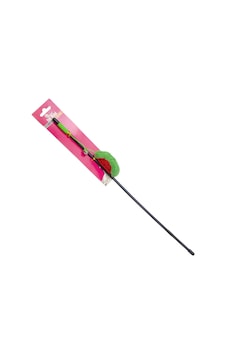 Gldısptm 8712695501664 Eastland Kedı Oltası, Kedı Otlu 44 Cm Gldısptm 8712695501664 Eastland Kedı Oltası, Kedı Otlu 44 Cm