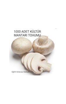 1000 Adet Kültür Mantarı Tohumu + Eğitim Kılavuzu + Hediye 1000 Adet Kültür Mantarı Tohumu + Eğitim Kılavuzu + Hediye