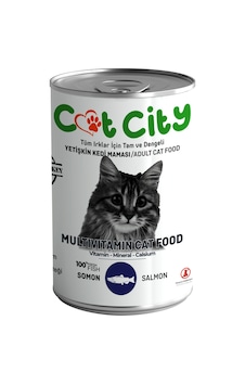 Cat City Az Tahıllı Somon Balıklı Yetişkin Kedi Konserve Mama 400 G