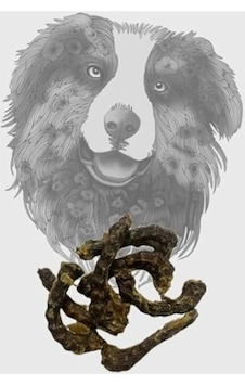100 Gr Kurutulmuş Tavuk Boyun, Köpek Ödülü 100 Gr Kurutulmuş Tavuk Boyun, Köpek Ödülü