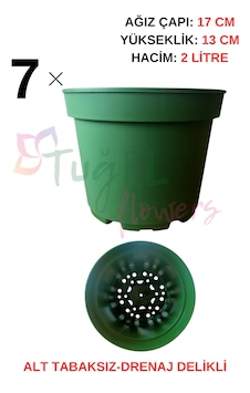 7 Adet Plastik Saksı 2 Litrelik Alt Tabaksız Koyu Yeşil 17 Cm 7 Adet Plastik Saksı 2 Litrelik Alt Tabaksız Koyu Yeşil 17 Cm