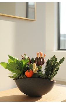 Premium Seramik Saksıda Çoklu Canlı Kaktüs Ve Sukulent Aranjmanı 28x15x26 Cm Premium Seramik Saksıda Çoklu Canlı Kaktüs Ve Sukulent Aranjmanı 28x15x26 Cm