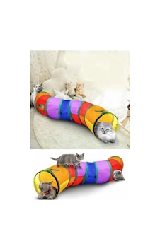 Kedi Oyun Tüneli Gökkuşağı Renk Kedi Oyun Tüneli Gökkuşağı Renk