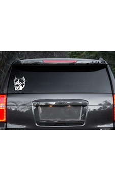 Pitbull Köpek Araba Sticker Yapıştırma Pitbull Köpek Araba Sticker Yapıştırma