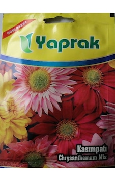 Çiçek Tohumu Kasımpatı 80 Ad