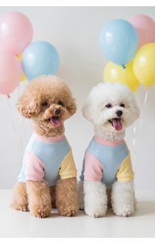 Bubbles Pastel Kedi Tişörtü Cepli Şeker Renkli Yazlık Kedi Kıyafeti Küçük Ve Orta Irk Kediler İçin Bubbles Pastel Kedi Tişörtü Cepli Şeker Renkli Yazlık Kedi Kıyafeti Küçük Ve Orta Irk Kediler İçin