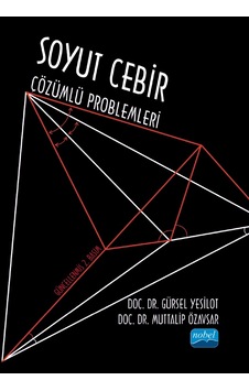 Soyut Cebir Çözümlü Problemleri Soyut Cebir Çözümlü Problemleri