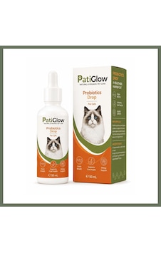 Bezos Patiglow Kedi Probiyotik Damla 50 Ml Bezos1 Bezos Patiglow Kedi Probiyotik Damla 50 Ml Bezos1