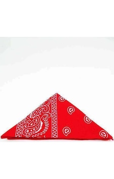 Shopiolog Unisex Etnik Desenli Bandana