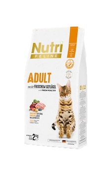 Nutri Feline Adult Frıschem Salmon 2kg Somonlu Yetiskin Kedi Maması Nutri Feline Adult Frıschem Salmon 2kg Somonlu Yetiskin Kedi Maması