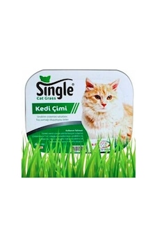 Single Natural Kedi Çimi Single Natural Kedi Çimi
