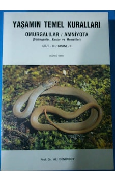 Yaşamın Temel Kuralları Cilt 3 Kısım 2