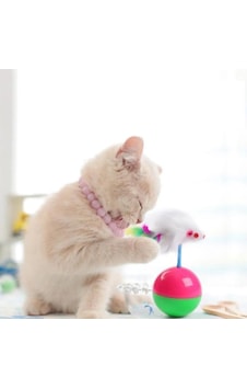 Mucit Home Hacı Yatmaz Kedi Oyuncağı, Tüylü Fareli Kedi Topu Mucit Home Hacı Yatmaz Kedi Oyuncağı, Tüylü Fareli Kedi Topu