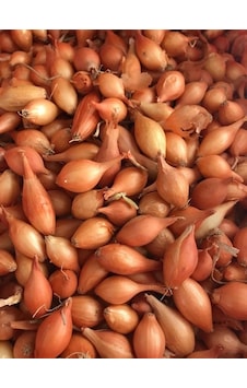 Yerli Arpacık Soğan 2 Numara 500 Gr Yerli Arpacık Soğan 2 Numara 500 Gr