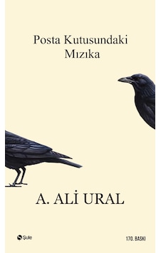 Posta Kutusundaki Mızıka Posta Kutusundaki Mızıka