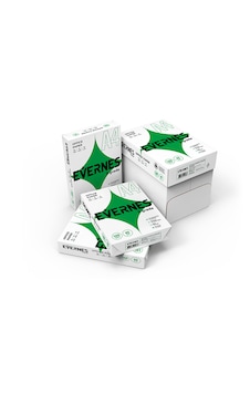 Evernes A4 Fotokopi Kağıdı 80gr 5 Paket 2500 Yaprak 1 Koli A4