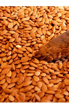 Acı Kayısı Çekirdeği 500 Gr / Yarım Kg Diğer