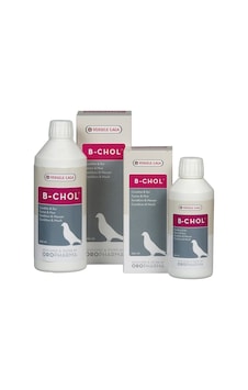 Versele - 456 - Laga Or.b-cholgüvercin K.ciğer - Aconcept - Sağlığı Koru 500m Versele - 456 - Laga Or.b-cholgüvercin K.ciğer - Aconcept - Sağlığı Koru 500m