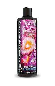 Brightwell Coralline Accelerator Koralin Alg 250 ML Brightwell Coralline Accelerator Koralin Alg 250 ML