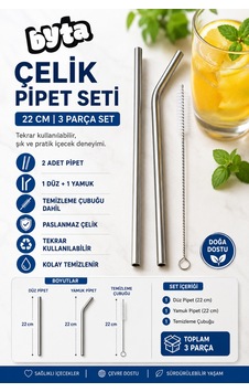 Paslanmaz Çelik Pipet 22 Cm 3 Parça Temizleme Çubuklu