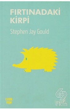 Fırtınadaki Kirpi - Stephen Jay Gould - Versus