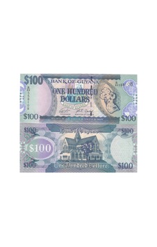 Guyana 100 Dolar 2019 Yılı Çil Eski Yabancı Kağıt Para