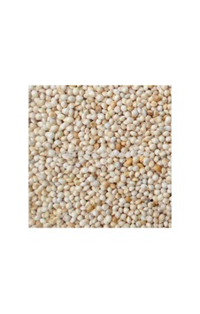 Ak Beyaz Darı 20 Kg Kuş Yemi - 713998772