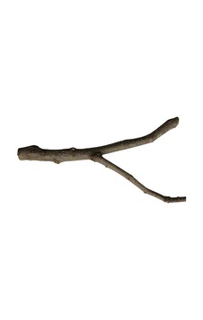 Beaks Doğal Dal Tünek L St101 27,5 Cm 297-60004.02 Beaks Doğal Dal Tünek L St101 27,5 Cm 297-60004.02